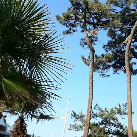 Le Charentais - De 4 Personnes Bord De * Vaux-sur-Mer
